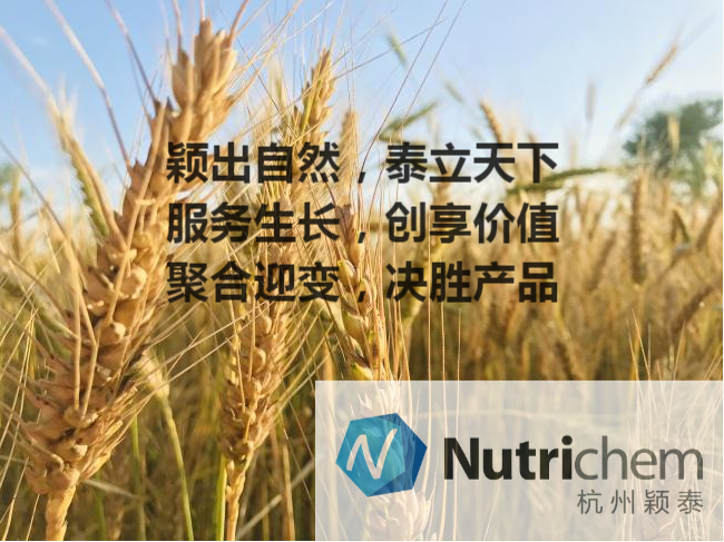 杭州海洋之神590_海洋之神590