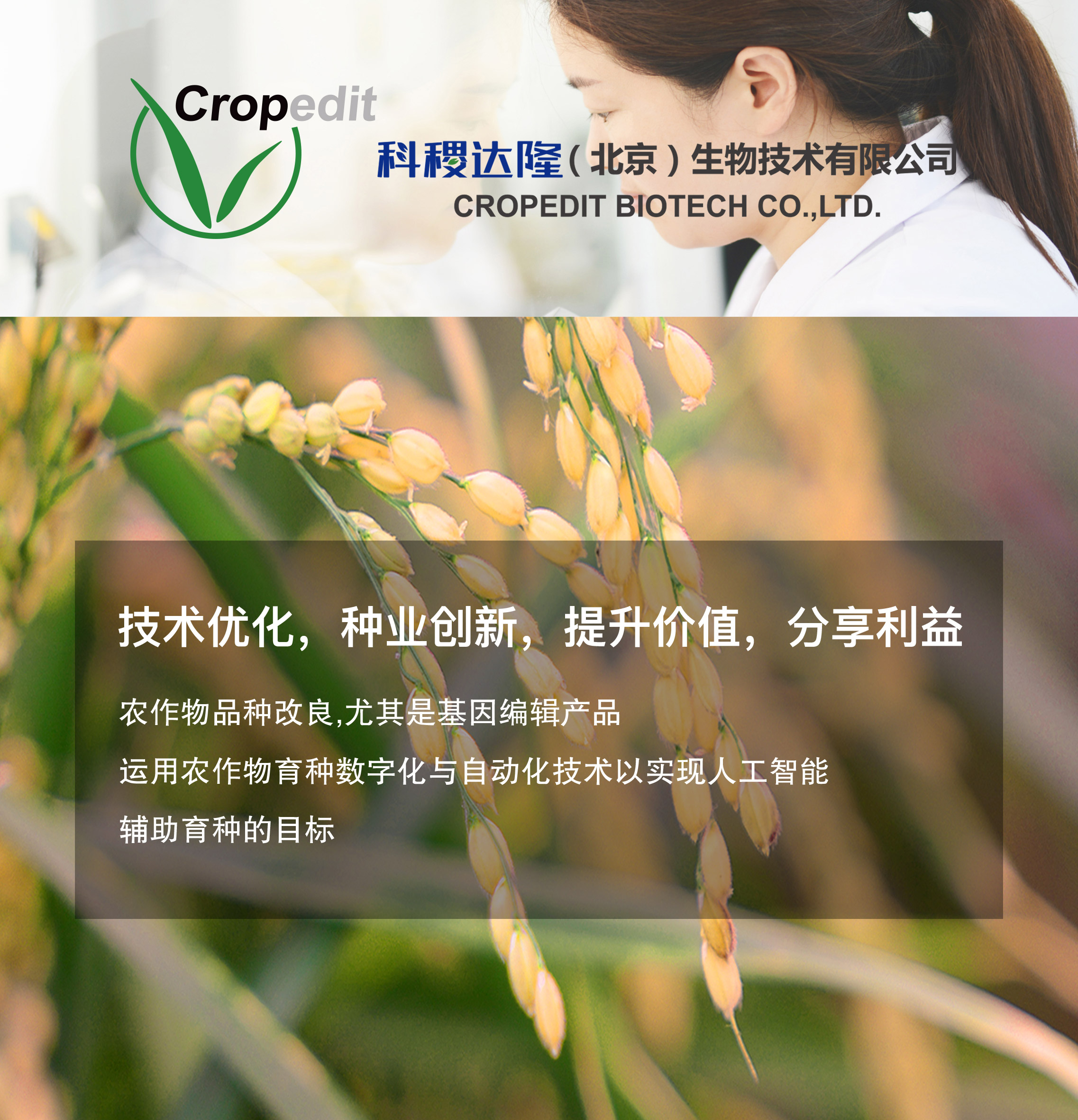 科稷达隆_海洋之神590